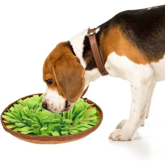 Snuffle Mat for Dogs Sniffing Feeding Mat,Dog Snuffle Mat Slow Feeding Bowl - Picture 5 of 7
